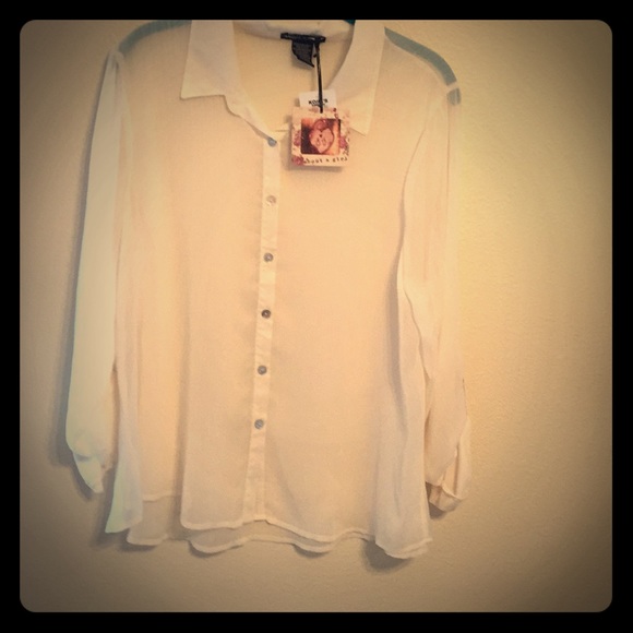 About A Girl Tops - 🔷3/$20 Long Sleeve Off White Sheer Blouse